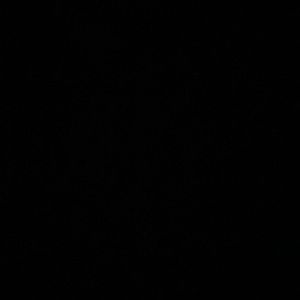 Meet your Posher, Gianna